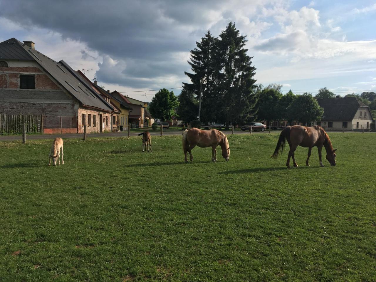 Penzion U Skutilů Pilníkov Esterno foto